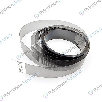 Encoder Scale 150
